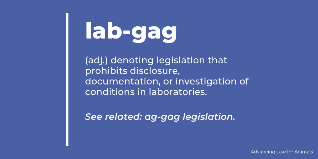 Adv_Law_Animals's tweet photo. 🚫 #NoLabGag 🚫 Lab-gag legislation, like ag-gag legislation, seeks to keep animal exploitation in the dark. https://t.co/qzv6Hf64pE