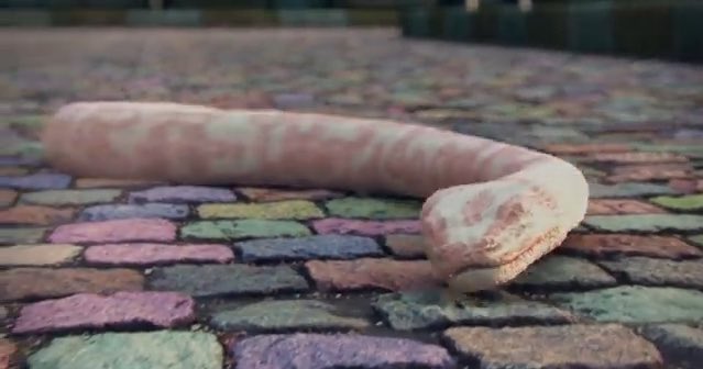 anxietycarlsen's tweet image. Que, aliás, eu também AMEI e achei SUPER criativo a ideia de fazer uma referência a era Reputation e essa nova. Sinceramente, TAYLOR SWIFT É UMA GENIA, INTELIGÊNCIA QUE DEVIA SER APRECIADO EM TODOS OS 4 CANTOS DO MUNDO  #MeOutNow #TaylorSwiftIsBack