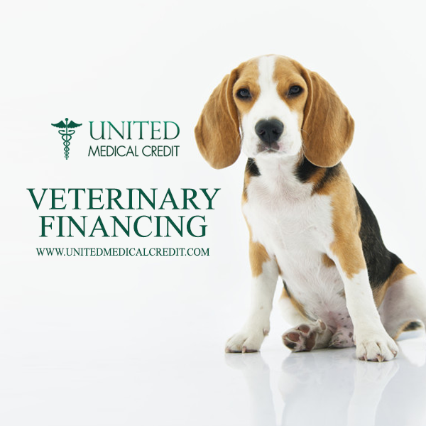 MedicalCredit's tweet image. Do you need funding for your pet's medical treatments? We can help!

#medicalloan #veterinaryfinancing

Secure veterinary financing now! bit.ly/2Dv2Sjd