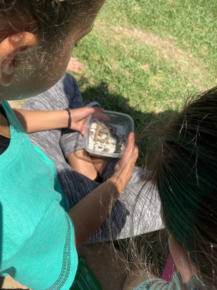 Mrs. Pratt’s 3rd grade class tweet media