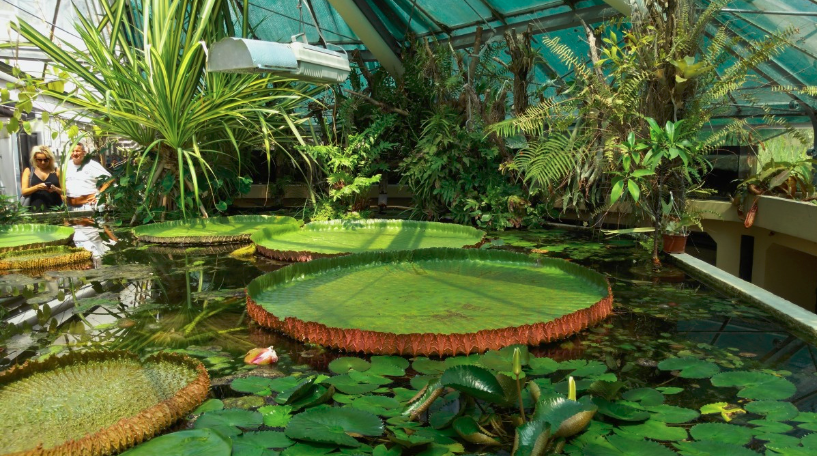 #Paris is home to many beautiful #parks and #gardens where you can enjoy the #spring weather 🦋🌼🌱

Here are 5 of the best of them !

bit.ly/2UCv7Sx