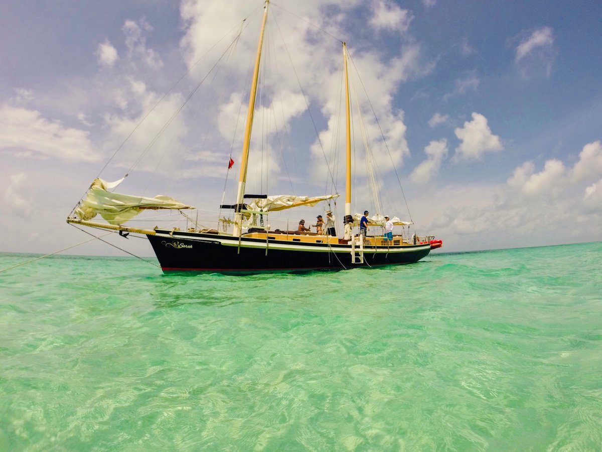 dangercharters tweet media