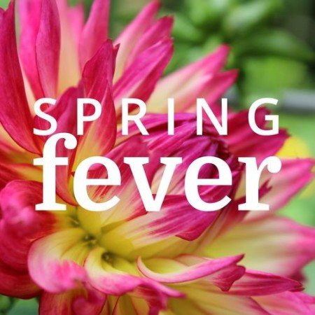 Got Spring Fever? Can you believe they are calling for snow this weekend?!! Will spring ever get here?😞#HomeImprovement #springfever #Nosnow #teamsunshine #Ohio #Toledo #rude
