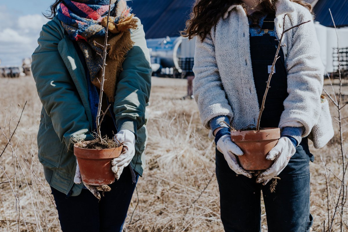 Virtue Cider (@virtuecider) on Twitter photo Our Arbor Day plantings are ON for tomorrow, April 27!
Chicago edition:
12 PM - Lonesome Rose
1 PM - <a href="/bangbangpie/">Bang Bang Pie Shop</a>
1:30 PM - <a href="/MiddleBrowBeer/">Middle Brow Beer & Wine</a> (Bungalow)
2:30 PM - <a href="/parsonschicken/">Parson's Chicken & Fish</a>
Detroit:
10 AM - Yorkshire Woods Community Organization
Details: facebook.com/events/5677264… Our Arbor Day plantings are ON for tomorrow, April 27!
Chicago edition:
12 PM - Lonesome Rose
1 PM - <a href="/bangbangpie/">Bang Bang Pie Shop</a>
1:30 PM - <a href="/MiddleBrowBeer/">Middle Brow Beer & Wine</a> (Bungalow)
2:30 PM - <a href="/parsonschicken/">Parson's Chicken & Fish</a>
Detroit:
10 AM - Yorkshire Woods Community Organization
Details: facebook.com/events/5677264…