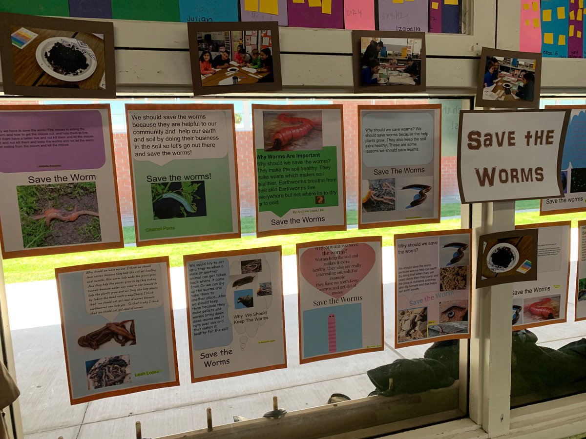 KristinOropeza's tweet photo. More AWESOME student technology work spotted at @WilliamOrr_ES - students were tasked with creating a poster to pursuade readers to "Save the Worms!" (a culminating project for their worms unit in science). @LLCSDSupt #LLCSD #LLCSDTech #LLCSDProud #GoRoadrunners #3rdgrade https://t.co/geSD21fT3G