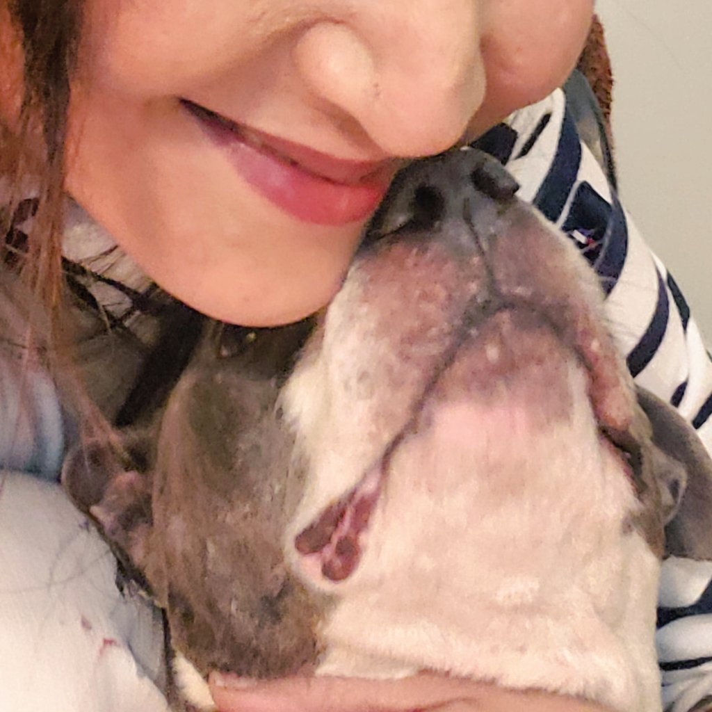 DameSparkula's tweet photo. Visiting Mama and her 6 fat babies ❤ #pleaseadoptus #pitbullpuppies https://t.co/Ic3og3QbCK