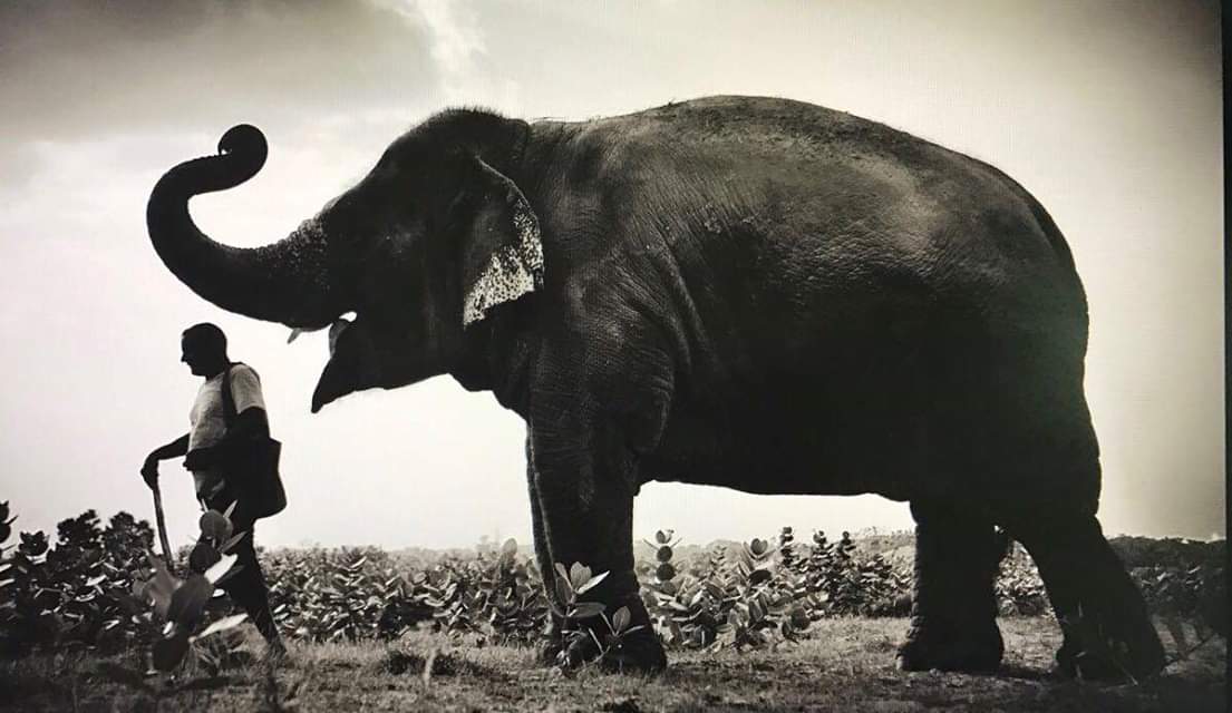 CinZimm54's tweet image. Have you signed the #refusetoride petition yet?  If you haven't, please take a minute to do so now.  Thank you!
e-activist.com/page/29749/act…