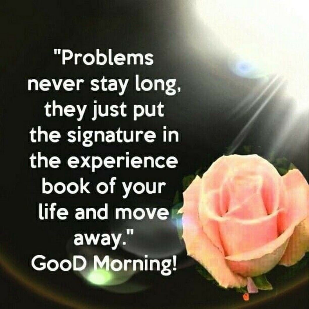 Dream_Alone13's tweet image. In this life...
There are so many up and downs...
Which way to choose 🤔
Which will be the best for our future