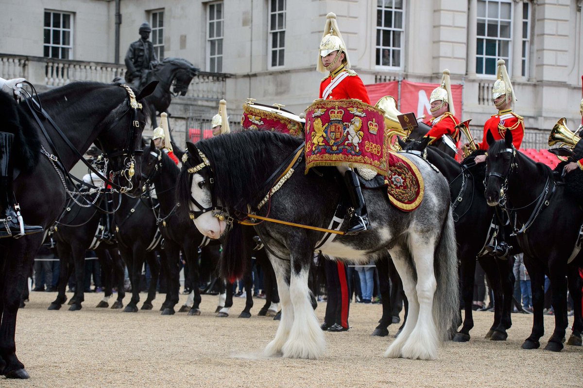 Today visitors for the Changing of the Queen’s Life Guard in Whitehall were treated to a surprise appearance of @BandHCav with THREE #drumhorses as part of their training with crowds for a summer of spectacle and ceremonial #LondonIsOpen #greatplacetowork @BritishArmy @HCav1660