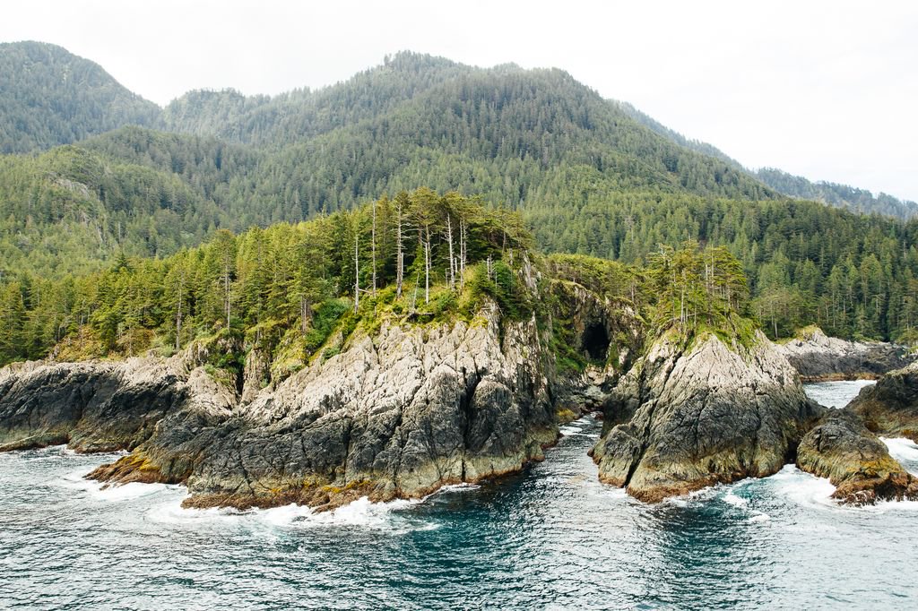 HAIDA WILD tweet media