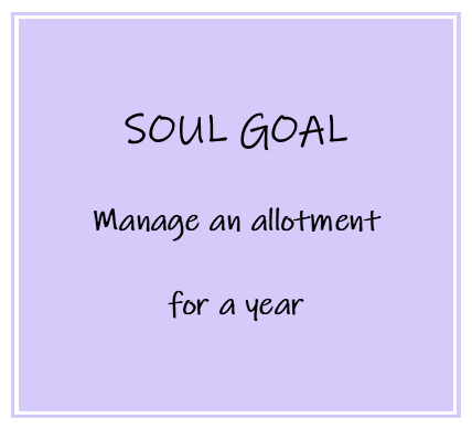 This is a great one for the soul! Gardening is so relaxing and having an allotment is a great way to get outside and try your hand at growing fruit &amp; veg.
.
.
 #SoulGoal #domore #achievemore #bemore #mindbodysoul #Fabat50 #50challenges