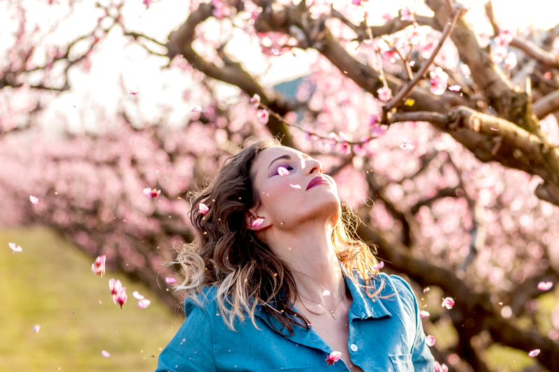 WellPath Solutions tweet media