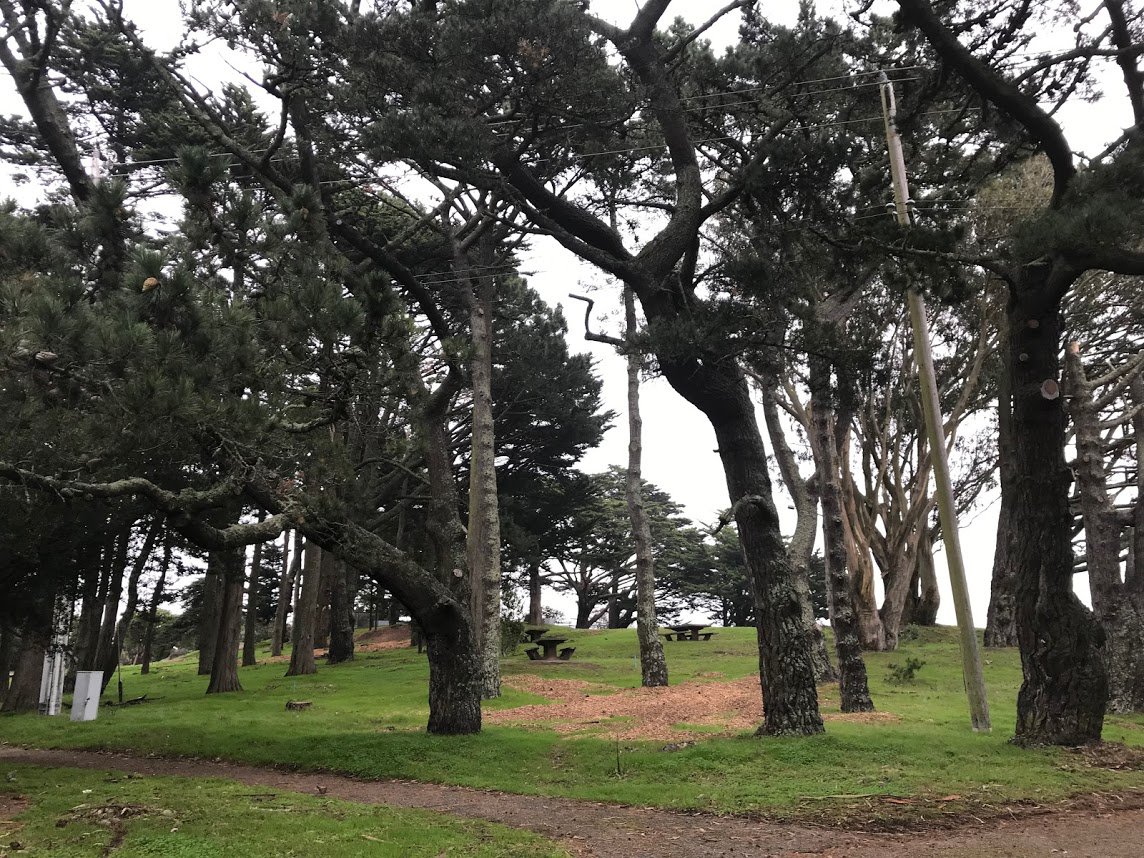 RecParkSF tweet picture