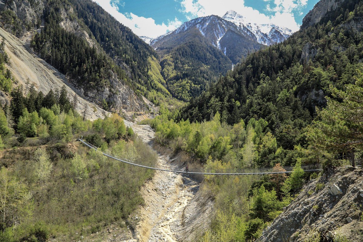 idnu_ch's tweet photo. ...am Nachmittag so.
#myValais #NaturparkWallis #buthanbrücke #Pfynwald https://t.co/sncMrHoN2x