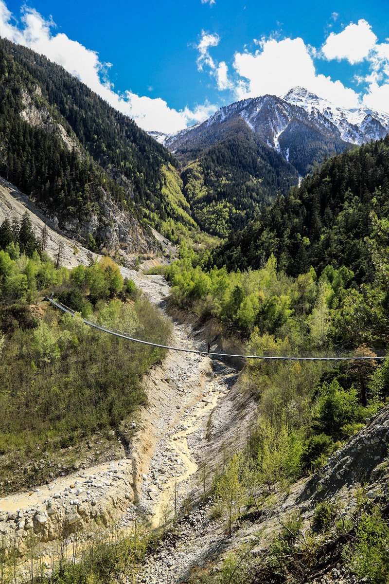 idnu_ch's tweet photo. ...am Nachmittag so.
#myValais #NaturparkWallis #buthanbrücke #Pfynwald https://t.co/sncMrHoN2x