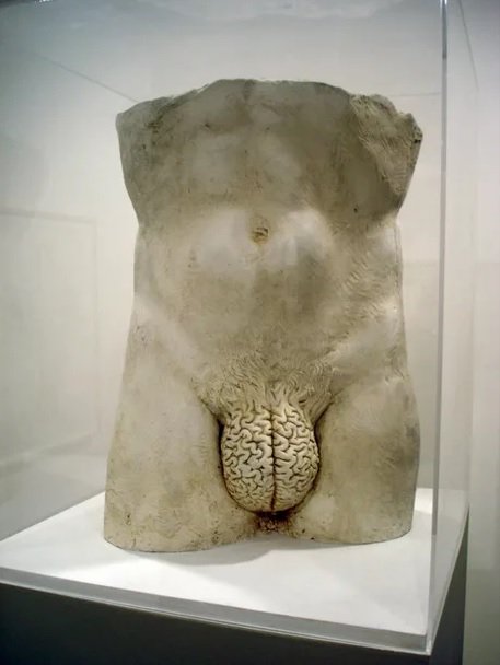 Kiffsetranges's tweet photo. bah là c'est l'inverse de la fameuse expression il a la B... à la place du Cerveau https://t.co/r3MDymaWWc