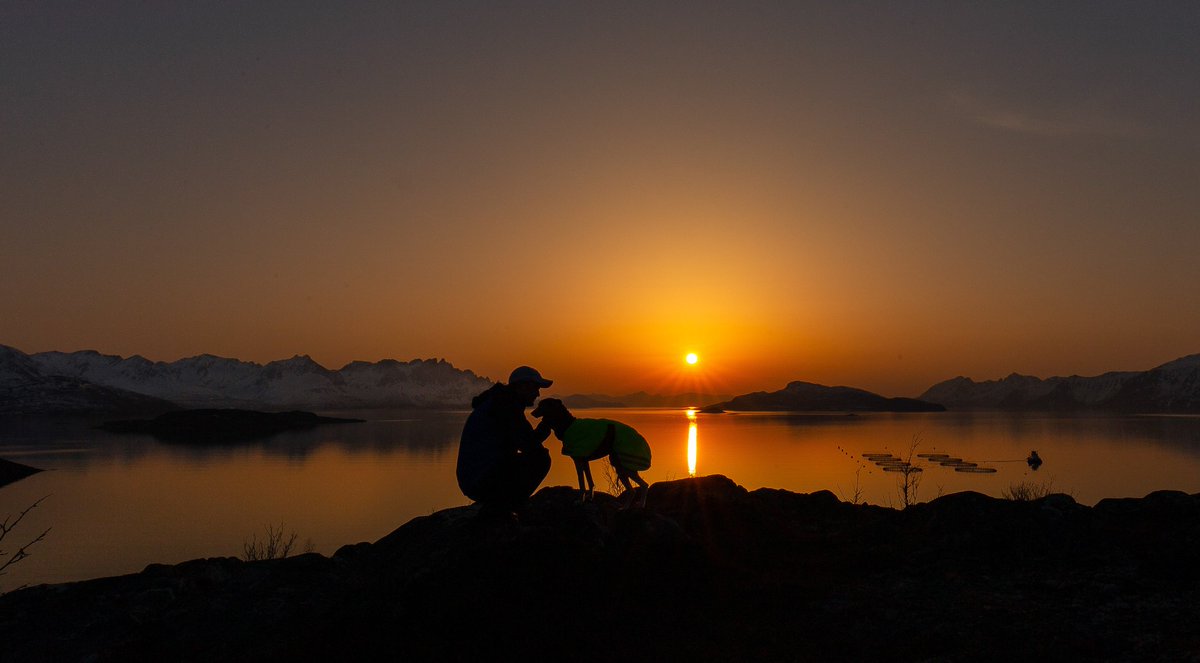 DanFSkovli's tweet photo. Best friends under the sunset 😎👍
Sahara sand i nord 🙂
#StormHour #ThePhotoHour #photography #sunset @sun #nature #photography #Norway #sunset_pics @nrktroms @turistforening @yrnyheter https://t.co/STctrtmogX