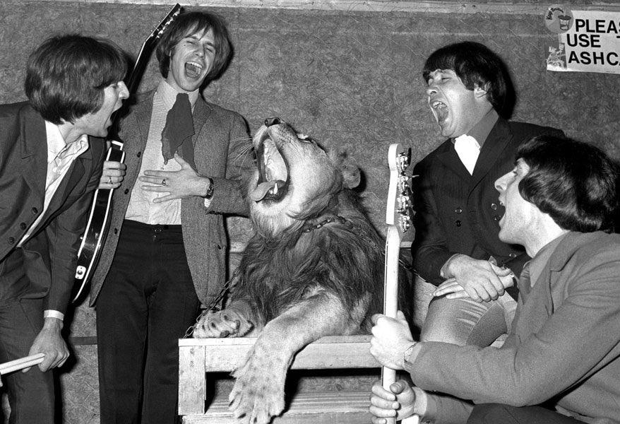 La Rocka USA (@larockausa) on Twitter photo Lion guarding backstage from The Troggs? <a href="/DebbieRochon/">Debbie Rochon</a> @lastnametaco <a href="/MylesGregory1/">lulu cutie i like boys lot</a> Lion guarding backstage from The Troggs? <a href="/DebbieRochon/">Debbie Rochon</a> @lastnametaco <a href="/MylesGregory1/">lulu cutie i like boys lot</a>