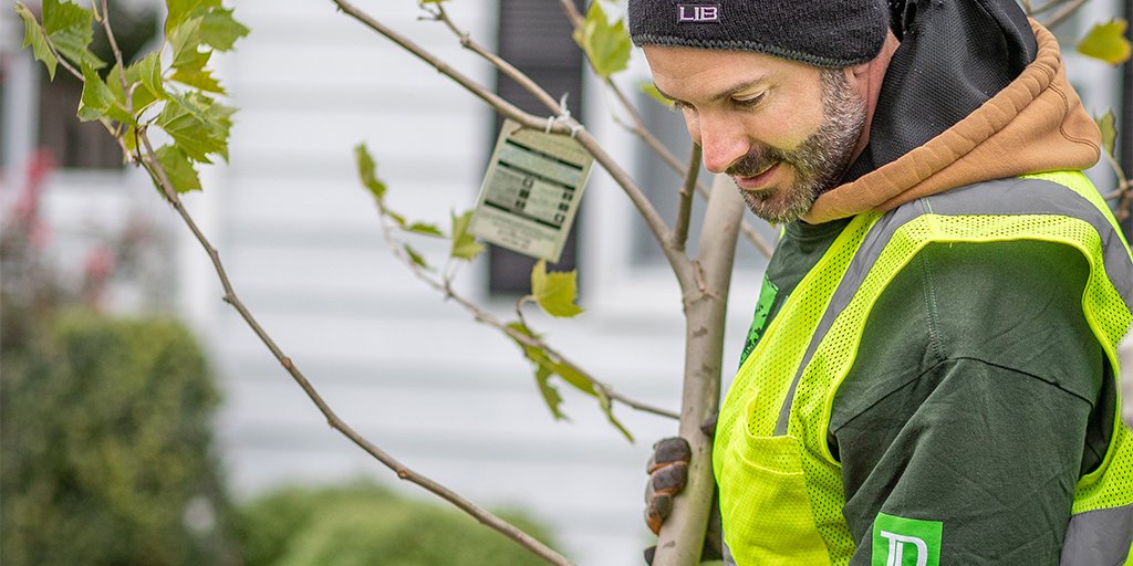 TDBank_US's tweet photo. Looking to move? #DYK that trees increase the property value of homes by 10-20% and attract new homebuyers? #ThankATree #ArborDay https://t.co/cIsXWAgxoP https://t.co/U7YFPClQ21