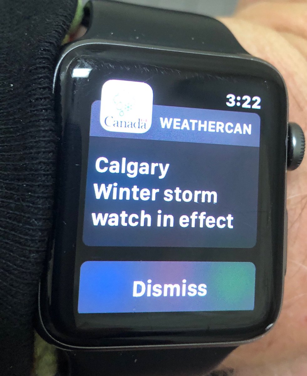 This alert just popped up on my phone! #yyc #abstorm ⁦@CTVCalgary⁩ ⁦@CTVdavidspence⁩