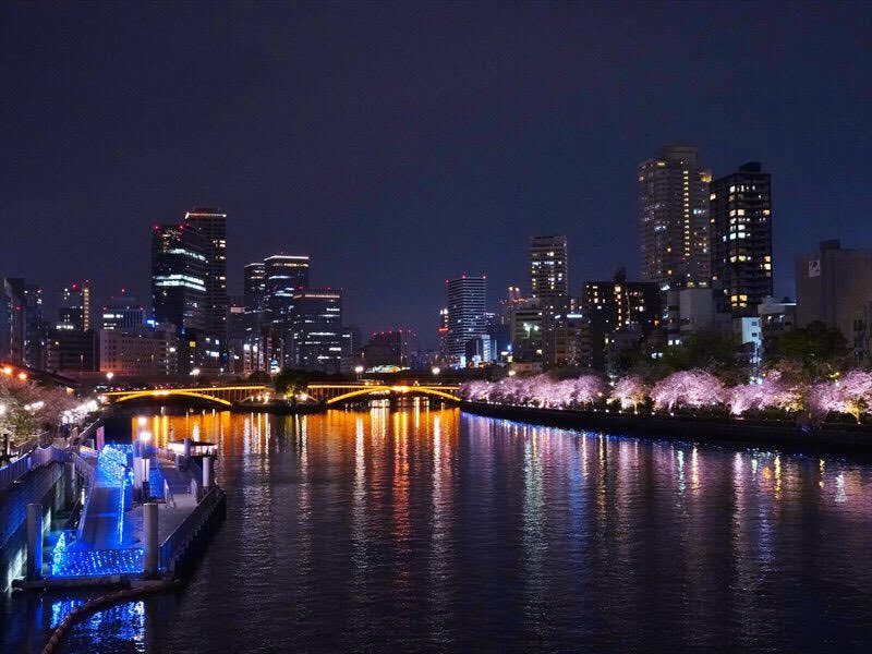 大阪 夜景 車 深夜 Kuruma