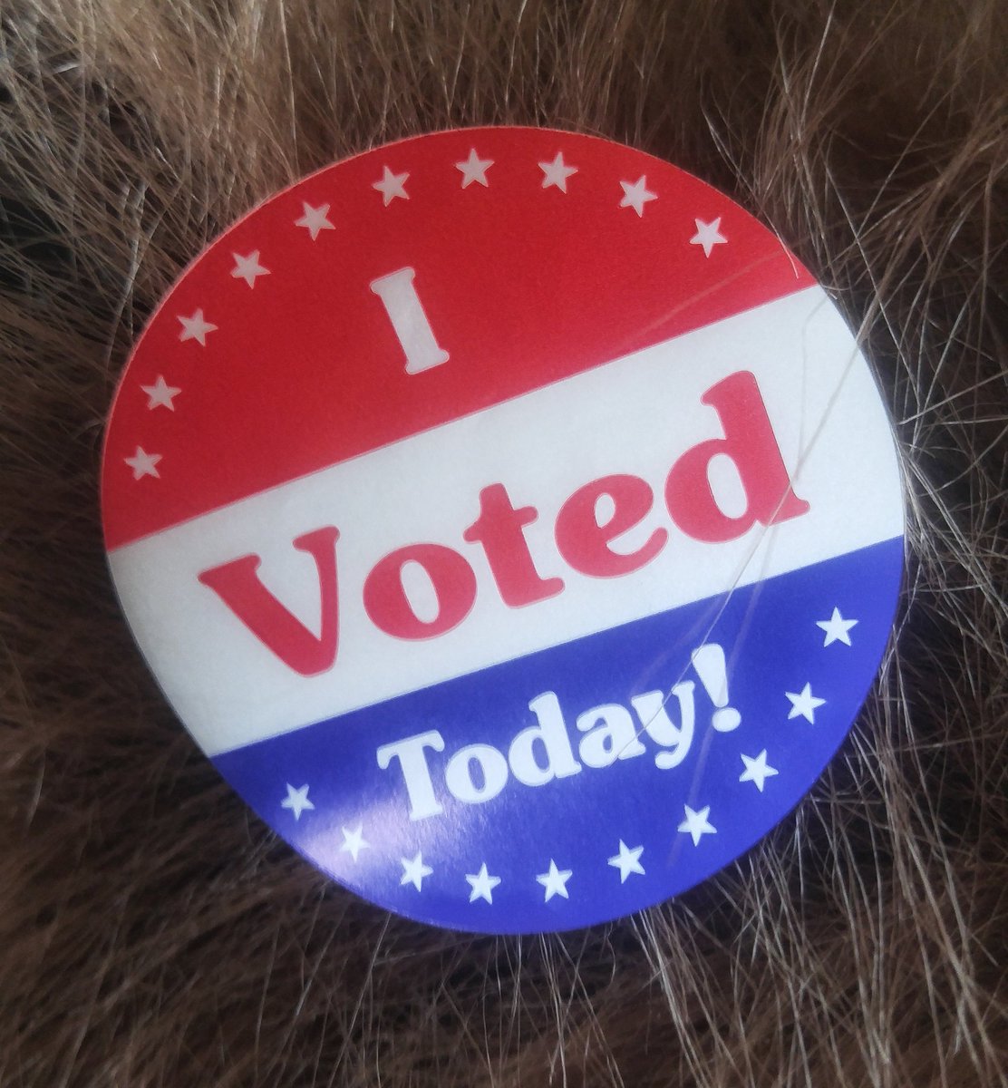 Real_Bigfoot's tweet photo. "One of the penalties for refusing to participate in politics is that you end up being governed by your inferiors." - Plato 
#bigfoot #vote #politics #plato https://t.co/9u6vAVAGyt