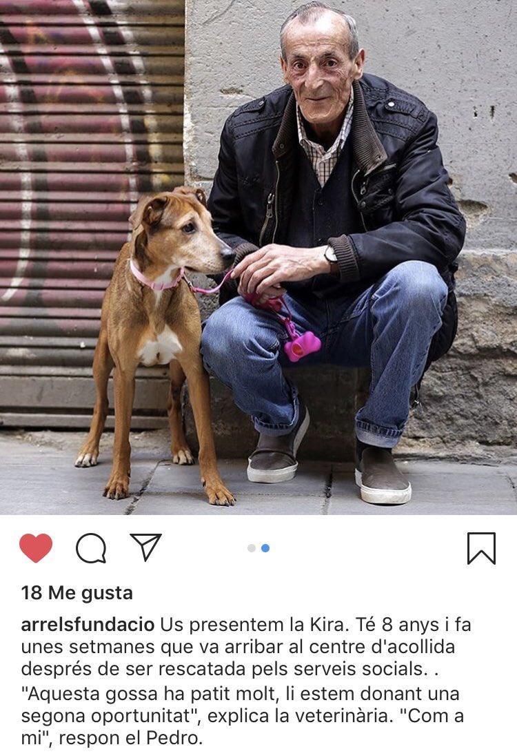 Historias que alegran el día 🥰 <a href="/ArrelsFundacio/">Arrels Fundació</a>