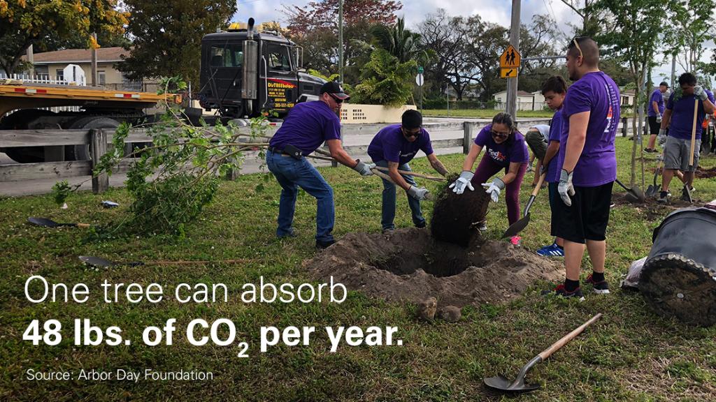FedEx's tweet image. Today &amp;amp; every day, our #FedExCares volunteers &amp;amp; the @arborday Foundation know it’s #TimeforTrees &amp;amp; the healthier communities they 🌳 enable. Happy #ArborDay!
