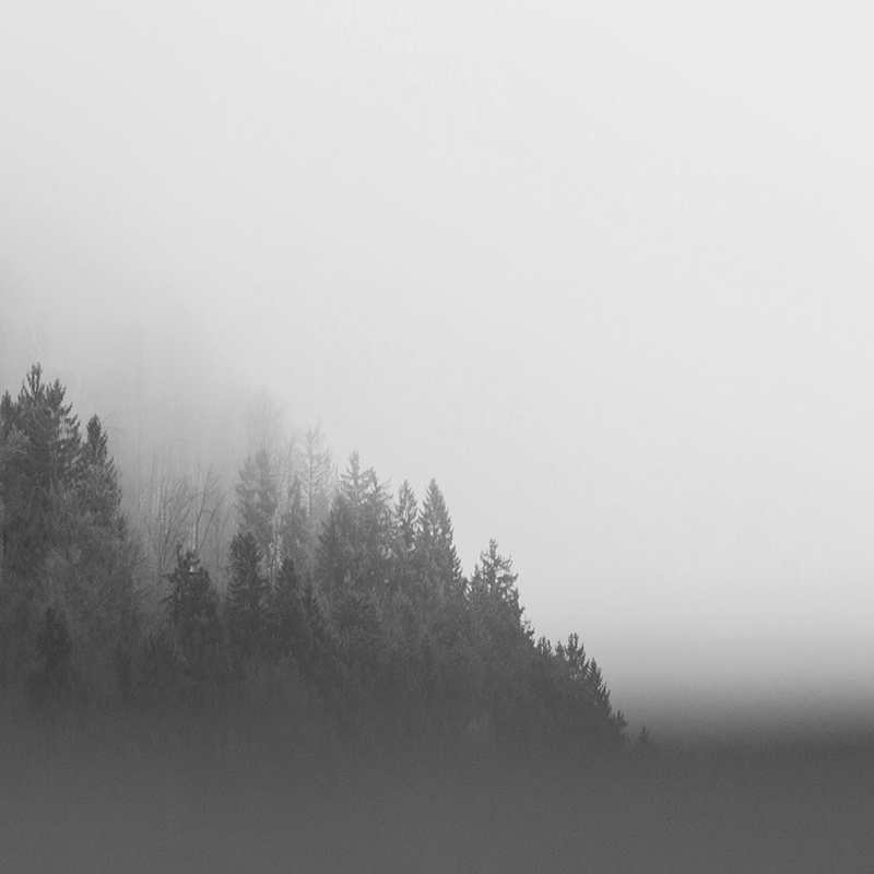 CoromandelProp's tweet photo. From combating climate change to providing shelter, we hope you take a moment to appreciate the trees around you this #ArbourDay and join us in supporting organizations like @TreeCanada.
#TreeCanada #SponsoredbyCoromandel #CoromandelProperties https://t.co/TlfUWGuON6