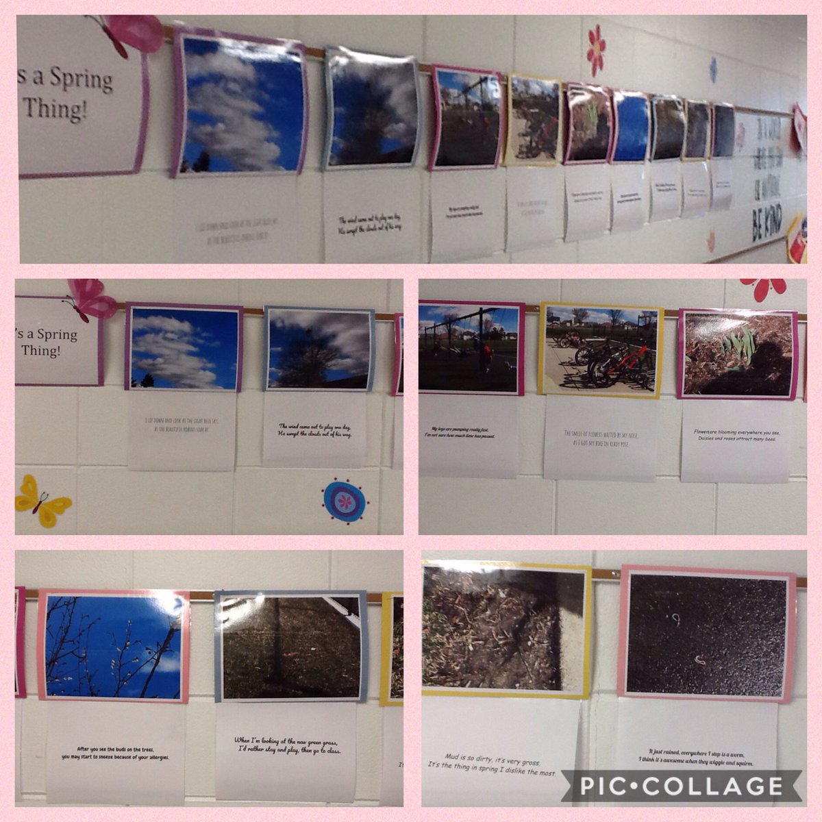 We found signs of spring outside and used them to inspire our poetry writing! Writer's at work and play! #greenbrier25#room240#poetrymonth