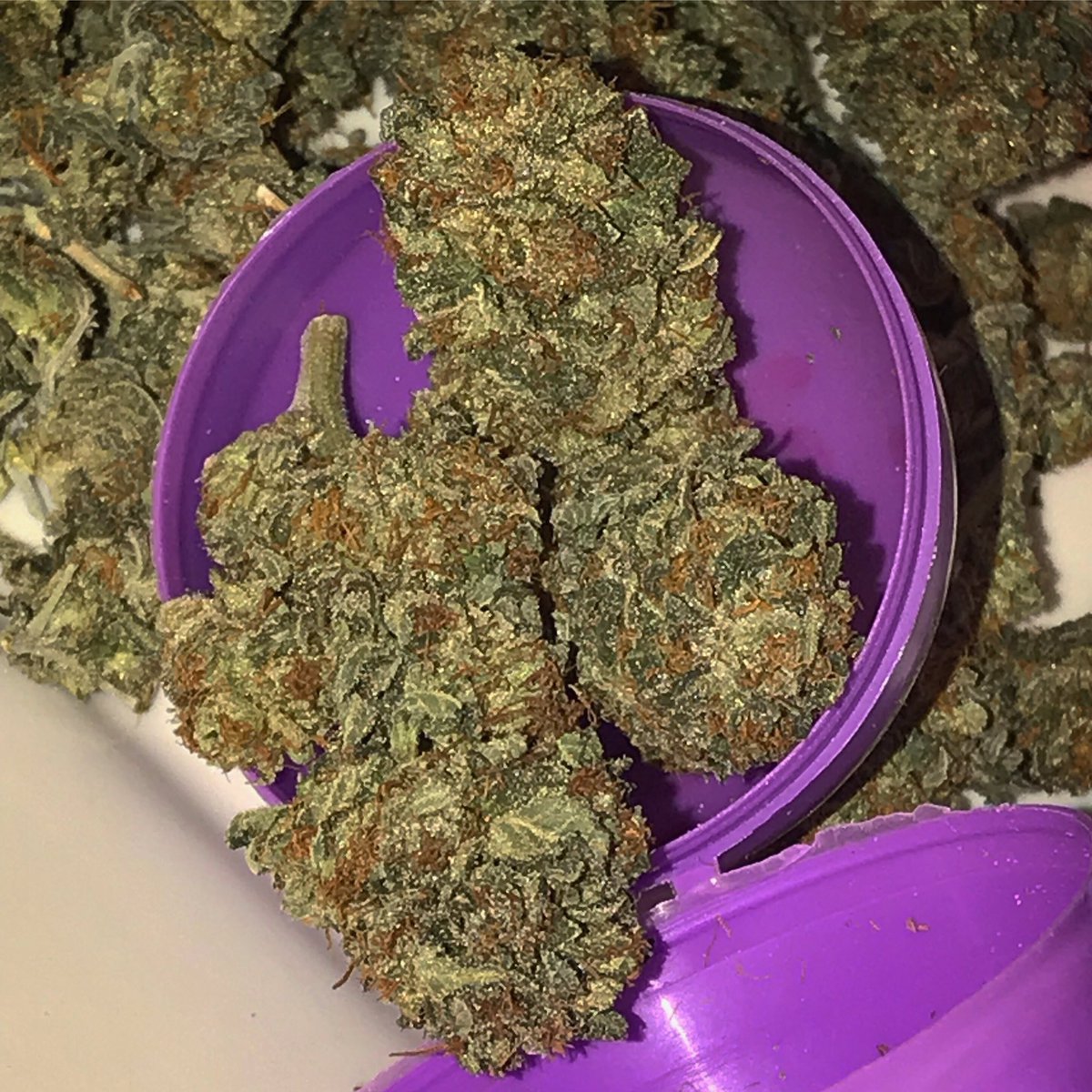 Endgame
.

#homegrown #cannabis #weed #cannabis #marijuana #cannabiscommunity #cannabisculture #kush #hightimes #medicalmarijuana #avengers #endgame