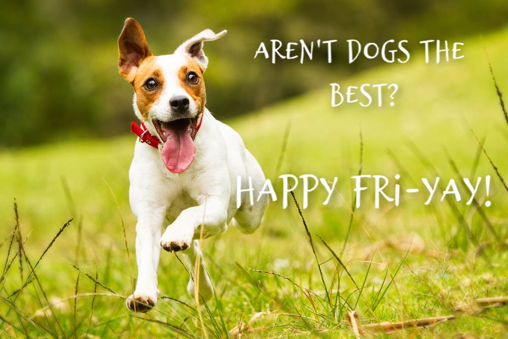 informedwc's tweet image. #Fri-Yay!