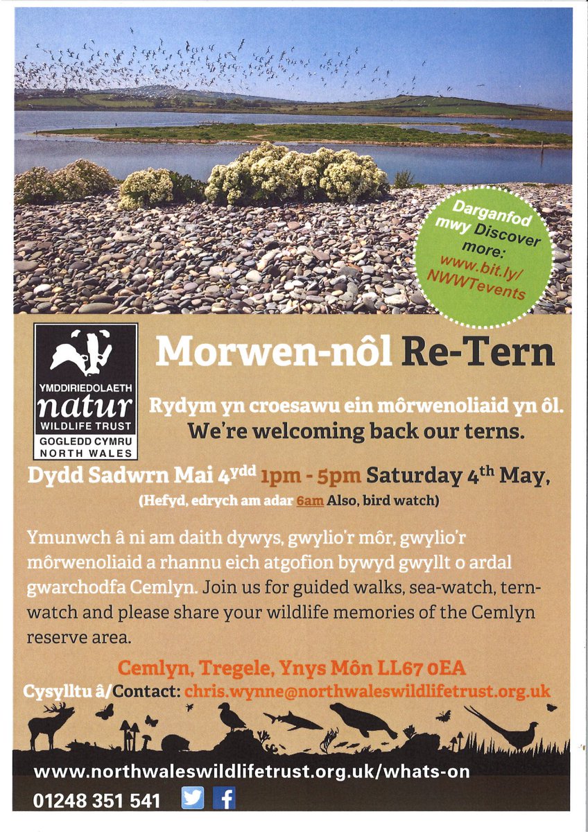 Come along to see the Cemlyn terns, learn about them &amp; get involved in some activities.  In the summer the wardens need help looking at how the terns are doing and feeding - if you're interested in helping out, come along!🦆🦢⛵️🌊💚 #conservation  #RoseateTernLIFE