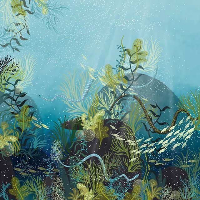 janenewland's tweet photo. 🚨 Oldie alert 😬🙊 #janejanejane 😂 I'm all drawn out this week I'm afraid ... lots of juicy client work which I can't wait to show you 😁 #colour_collective #paynesgrey #underthesea #fishies
Have a great weekend! 😘
#illustration #illustratorsofinst… https://t.co/ff8xsDat0l https://t.co/Ik1yGA4U7R