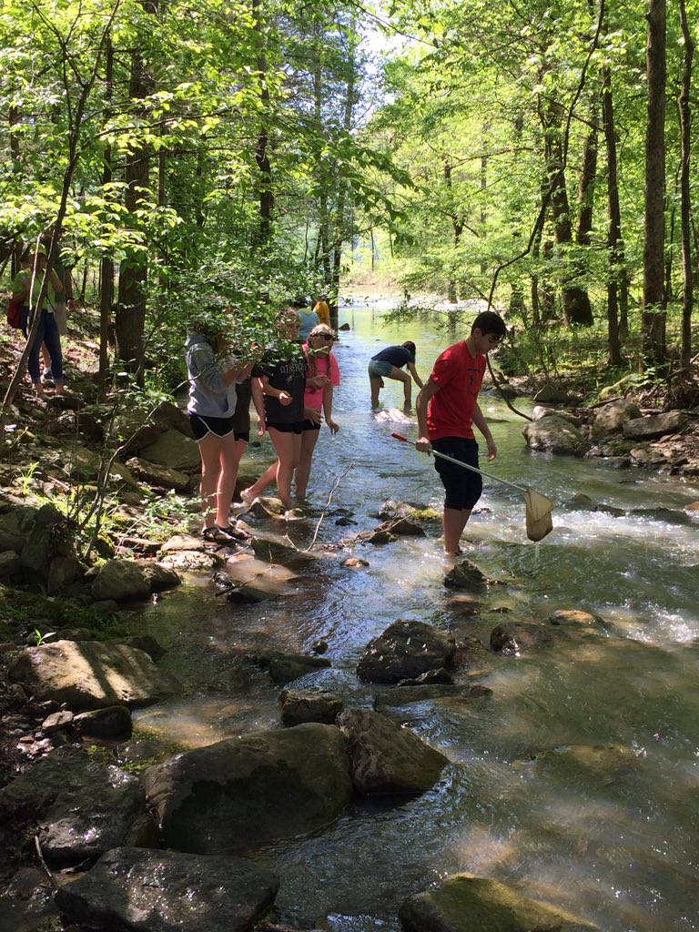 VickyLimbocker's tweet photo. AMS Science Club at Lake Ft Smith aquatic ecosystems collecting for the Natural resource data base. To help native animals in our area from invasive species and keep water supply healthy. 
Learning how aquatic ecosystems effect all other ecosystems on Earth. 
@alma_middle https://t.co/8WfUISK32q