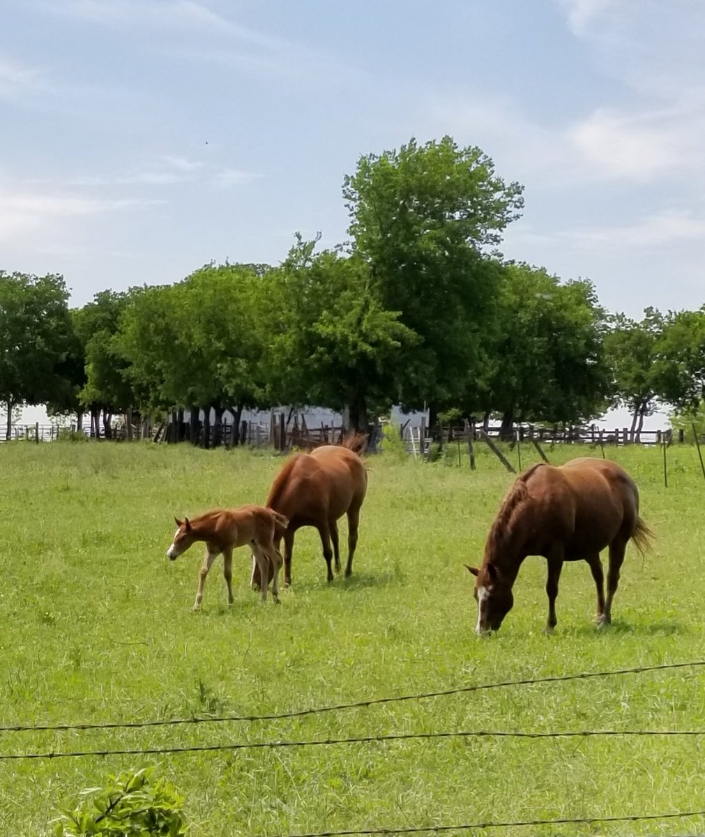 Kari Malinak tweet media