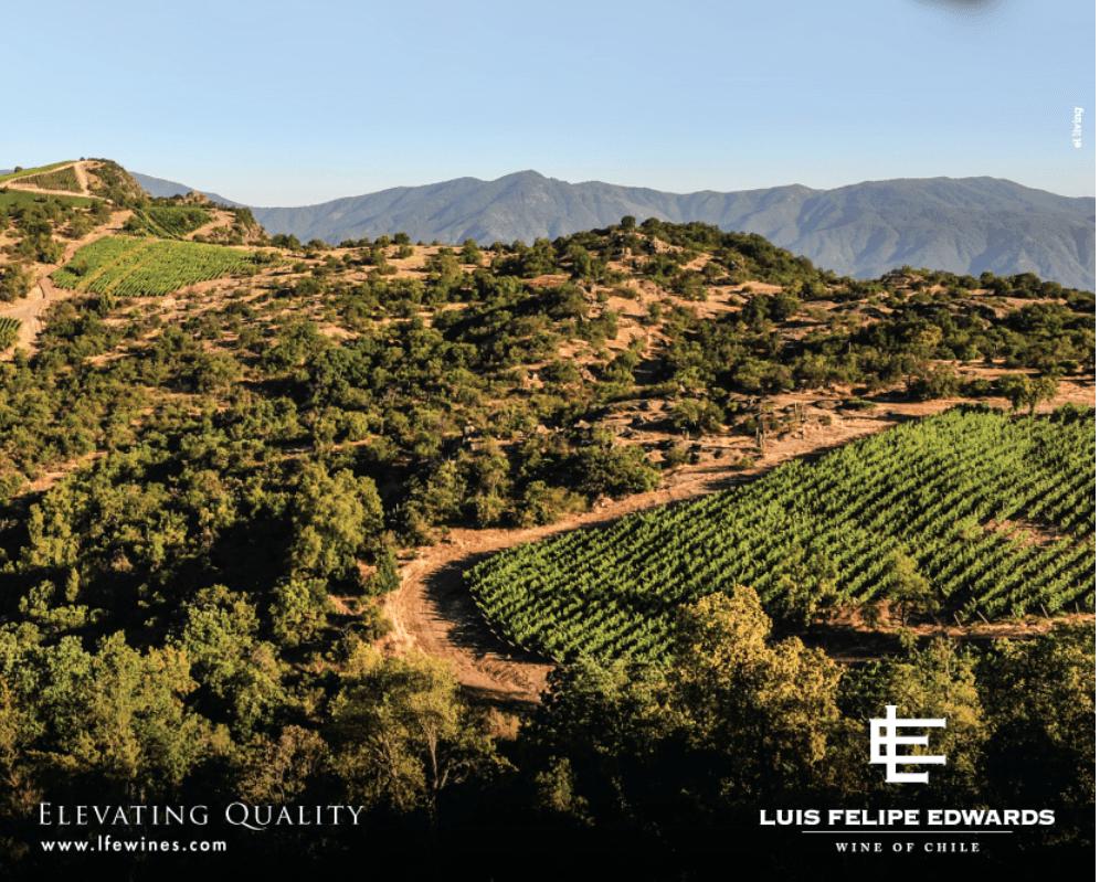 VINA LUIS FELIPE EDWARDS LTDA. hispamerchants.com/2018/07/02/vin…