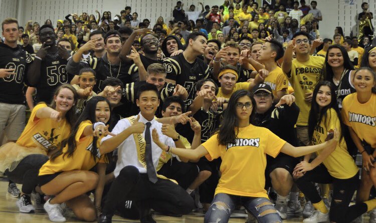 freedomHS2019's tweet photo. Freshman-Senior. 3 Hallways, 5 Pep Rallies, over $90,000 for St. Jude, and most importantly the most amazing class in FHS history. I think it’s safe to say we’ve left a legacy. To my 2019 family, I love you guys beyond words. Freedom won’t be the same without you 💛🖤💛🖤 https://t.co/i6esQsQLmH