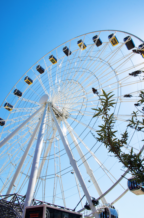 heyFatTireTours's tweet photo. The world’s largest mobile wheel just opened up in Munich’s hip area Werksviertel and the beautiful panorama views of the city are so worth the ride! #Munich. #MunichTips #Germany https://t.co/S9jFQicicI