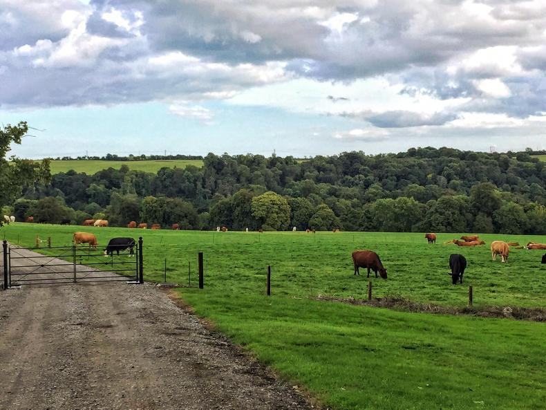 RogierSchulte's tweet photo. We are recruiting!

Prestigious Marie Curie PhD position on "Regional approach to the design of sustainable farming" as part of the Irish-Dutch HEARTLAND project: https://t.co/GN6kFGeoEO

Unique chance to work as part of an interdisciplinary team of 5 PhDs.
MSc degree = essential https://t.co/w41hAREaPo