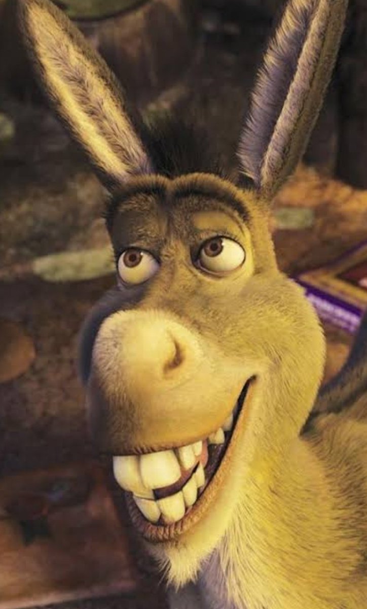 burro meu maior kin!! #shrek #shrekburro #perolas