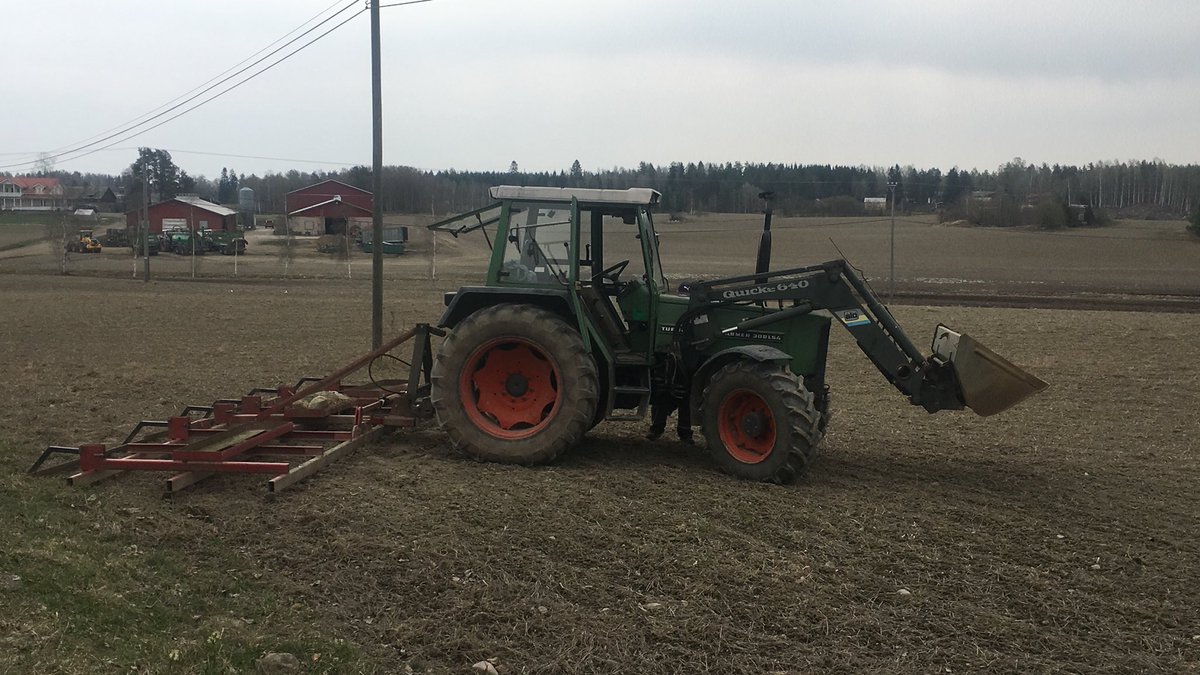 Vanha #fendt kaivettu hommiin ja maata muokkaamaan. Tasurilla hieromaan jotta kosteus pysyisi kun ei vielä kylvääkään kestä.
