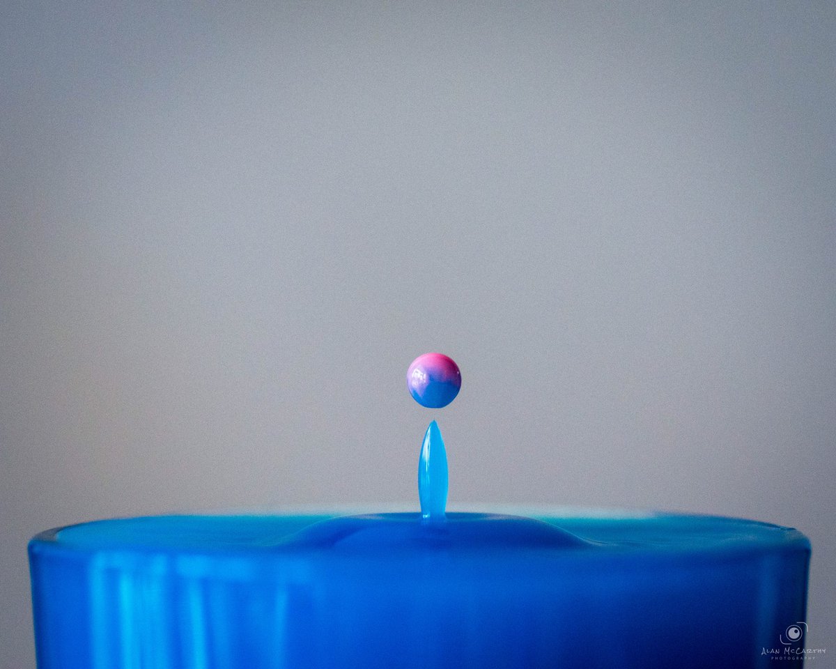 AlanMcPhotos's tweet photo. Macro droplet. Water with blue food colouring and milk with red food colouring #macro #photography #droplet https://t.co/8MgxpVrXb9