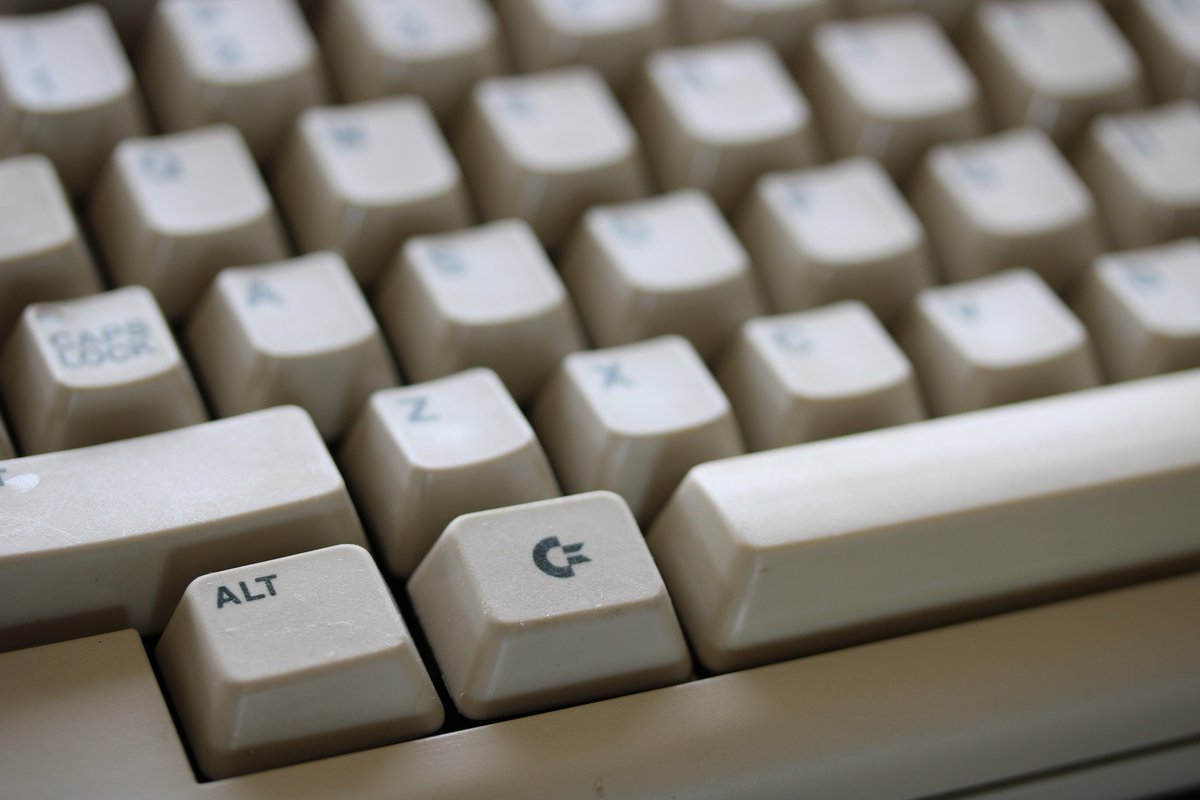 𝑨𝑴𝑰𝑮𝑨 ❤ tweet media