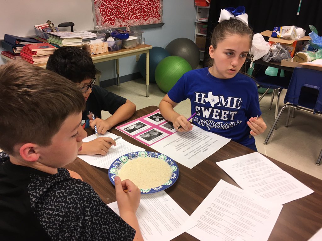 The bird is the word! Adaptation stations to test how different beak shapes work to get food!🐔🐧🦆🦅🦉🐤🐦<a href="/LampasasKWE/">Kline Whitis Elem</a> #LeadKWE