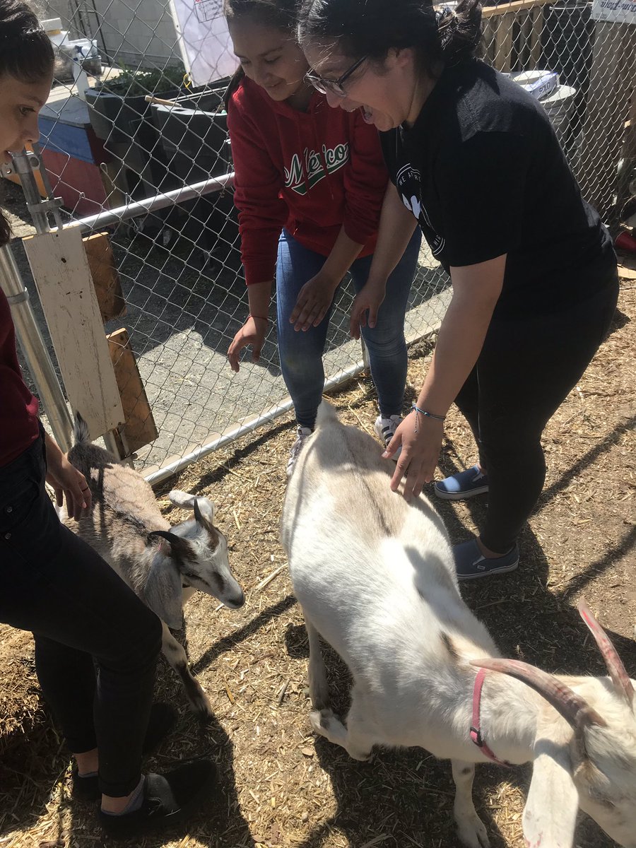 ujheagles's tweet photo. Mrs. Guerrero’s class visiting Hillside High’s farm. https://t.co/fvMGoWtslk