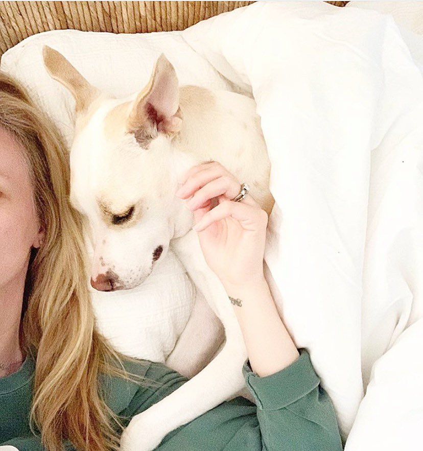 BarklynGrace's tweet photo. Friday night wind down ft. a comfy barklyn grace tee + your pup = pure bliss. https://t.co/nNv6uSnBJ0