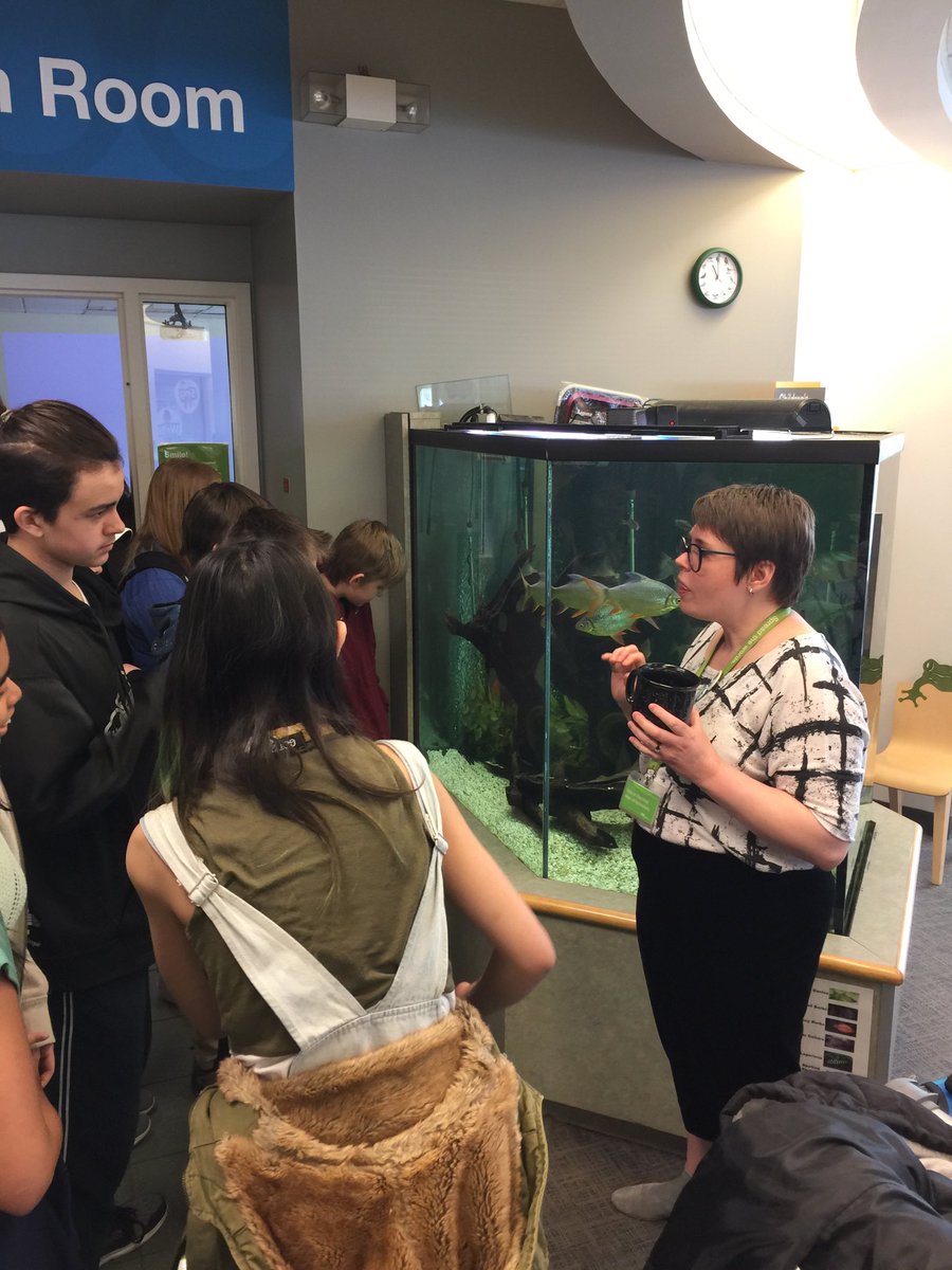 StMarkECSD's tweet photo. Flex session at Woodcroft Library. @EPLdotCA #thinkwriteroar #ecsdfaithinspires https://t.co/f4lhusunFa