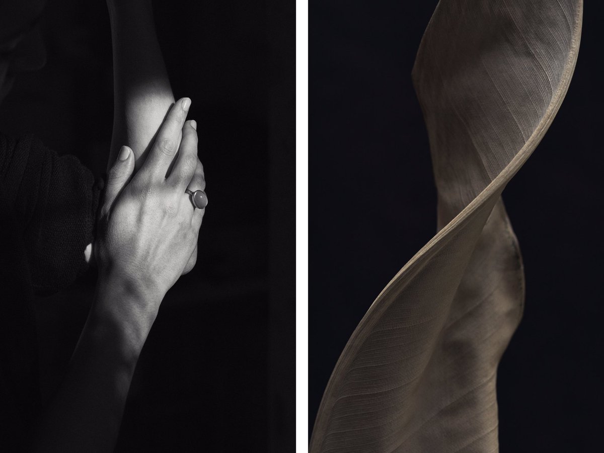 “Hands are the tool of the painter, the artist” Agnes Varda