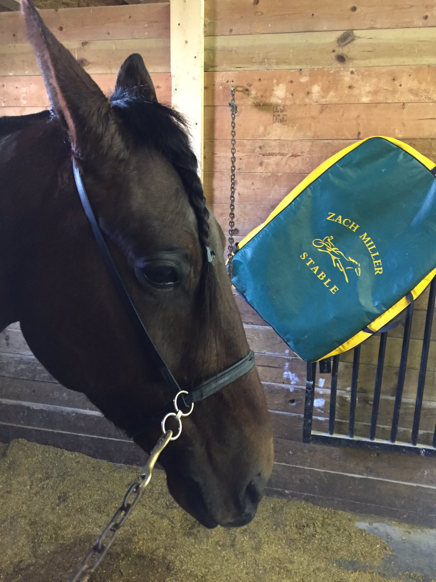 egdobrowolsk's tweet photo. @HPEmilyG @HoP_Racing I’ll go with #RockNJoZ #MojotoHanover and.... #WinningIsSweet for my picks! #playhp https://t.co/1xxdmtlVRH